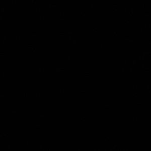 Meet your Posher, Nickie